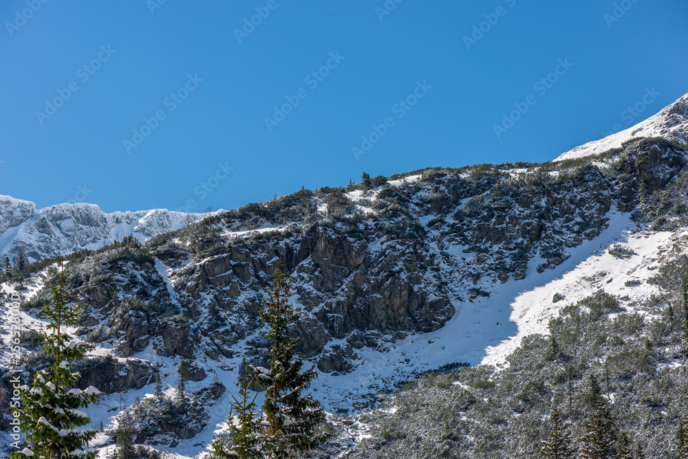 winter in Slovakia Tatra mountains. peaks and trees covered in snow winter in Slovakia Tatra mountains. peaks and trees covered in snow