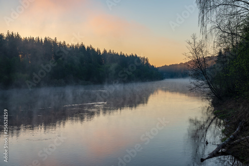 Fototapeta Naklejka Na Ścianę i Meble -  beautiful misty morning on the natural forest river Gauja in Latvia