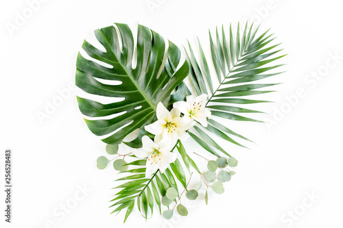 Pattern of tropical green leaves monstera on white background. Flat lay, top view