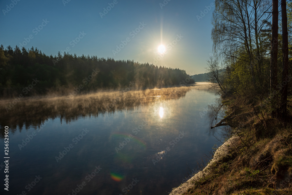 Obraz premium beautiful misty morning on the natural forest river Gauja in Latvia