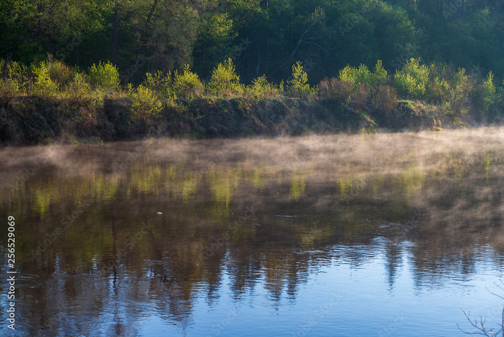 beautiful misty morning on the natural forest river Gauja in Latvia