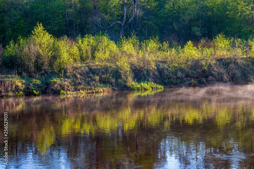 beautiful misty morning on the natural forest river Gauja in Latvia