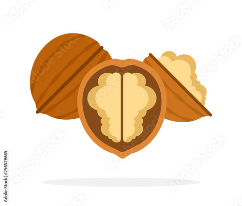 Whole walnut and half of walnuts flat isolated