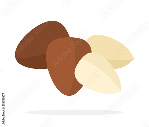 Pine nuts in shell and peeled pine nuts flat isolated