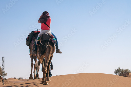 Dromedary riding in the Sahara desert-Morocco