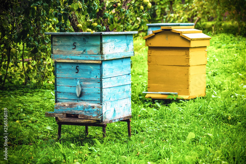 Old wooden honey bee houses © viktoriya88