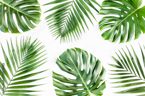Pattern of tropical green leaves monstera on white background. Flat lay, top view © K.Decor
