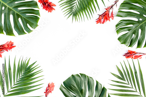 Frame from tropical green leaves Monstera on white background. Flat lay, top view