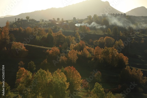 Autumn forest nature. Vivid morning in colorful forest with sun rays through branches of trees. Scenery of nature with sunlight.savsat/artvin/turkey