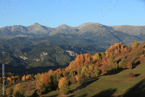 Autumn forest nature. Vivid morning in colorful forest with sun rays through branches of trees. Scenery of nature with sunlight.savsat artvin turkey