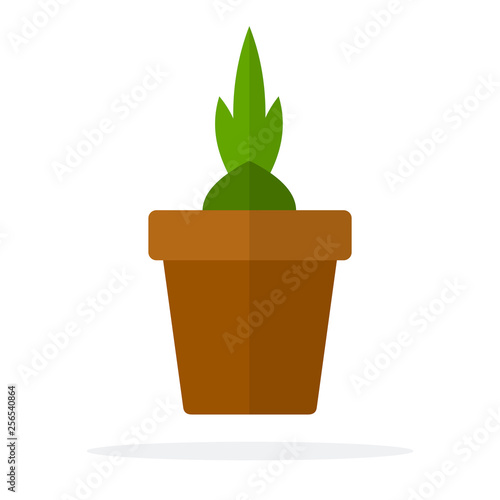 Flower sprout in a ceramic pot flat isolated