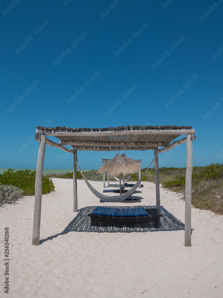 Beach hammocks in Mexican Caribbean, horizontal Beach hammocks in Mexican Caribbean, horizontal