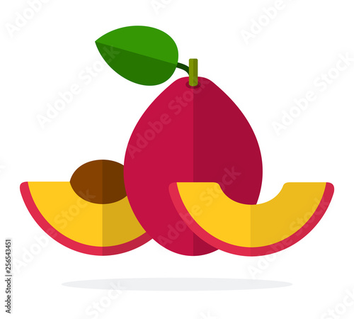 Red plum with a leaf, half plum with a stone and a segment of a plum flat isolated