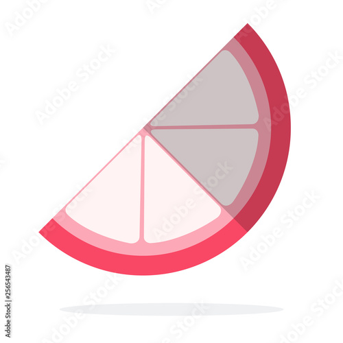 Piece of lychee fruit vector flat isolated