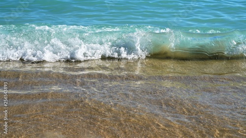 Tropical beach shoreline background.