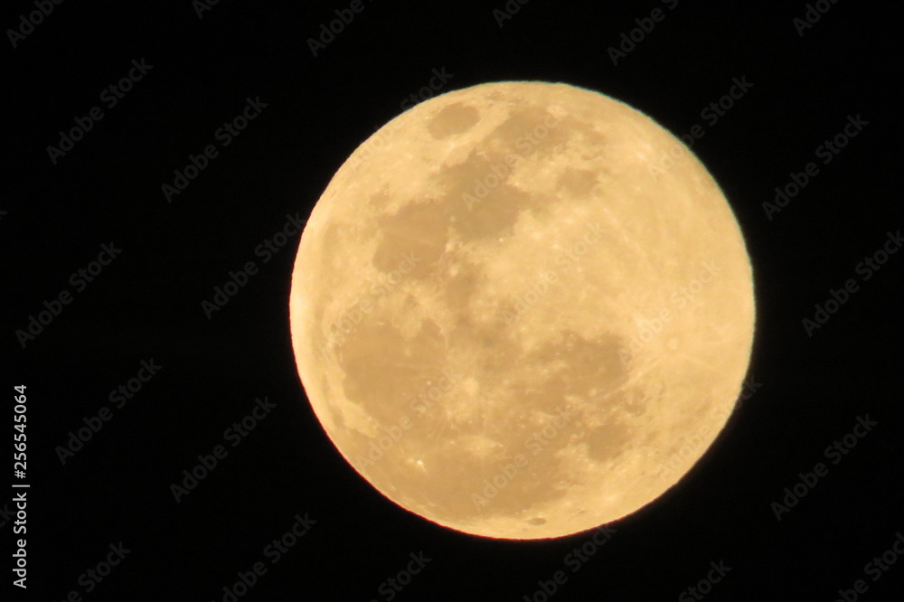 Yellom Moon 2 Yellom Moon 2