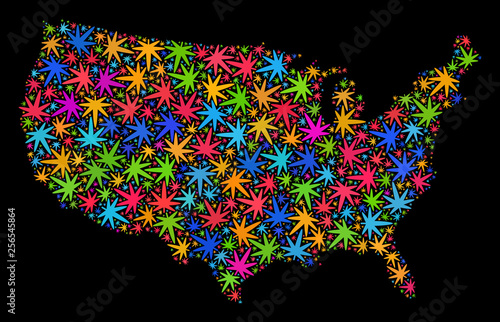 Bright vector marijuana United States map mosaic on a black background. Template with bright herbal leaves for marijuana legalize campaign. Vector United States map is formed with weed leaves.