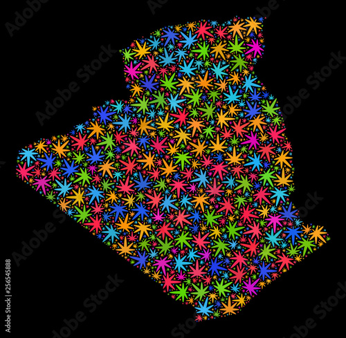 Bright vector cannabis Algeria map mosaic on a black background. Template with bright herbal leaves for hemp legalize campaign. Vector Algeria map is created with herbal leaves.