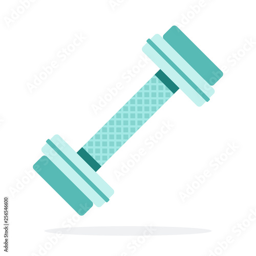 Dumbbell for the gym flat isolated