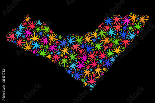 Bright vector cannabis Alagoas State map collage on a black background. Concept with multi-colored weed leaves for weed legalize campaign. Vector Alagoas State map is formed with cannabis leaves.
