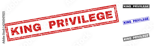 Grunge KING PRIVILEGE rectangle stamp seals isolated on a white background. Rectangular seals with grunge texture in red, blue, black and gray colors.