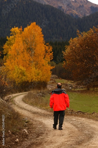 man walking on misty autumn forest road .turkey