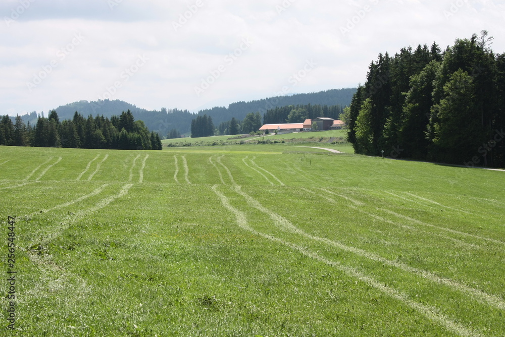 Obraz premium voralpenland