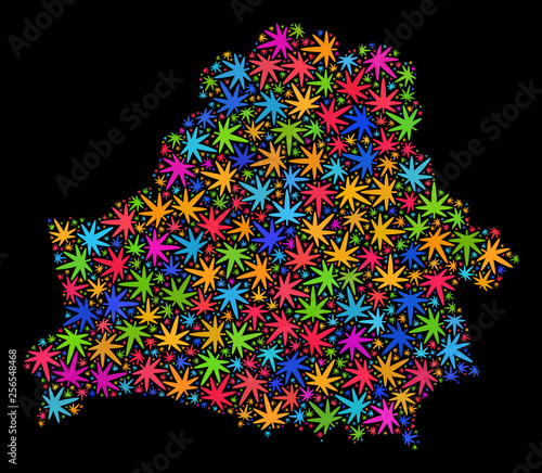 Bright vector cannabis Belarus map mosaic on a black background. Concept with bright herbal leaves for cannabis legalize campaign. Vector Belarus map is created with cannabis leaves.