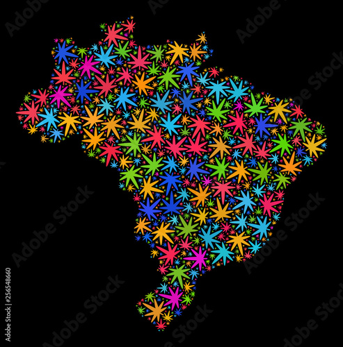Bright vector cannabis Brazil map mosaic on a black background. Template with bright weed leaves for cannabis legalize campaign. Vector Brazil map is constructed with cannabis leaves.