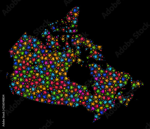 Bright vector cannabis Canada map collage on a black background. Template with bright weed leaves for hemp legalize campaign. Vector Canada map is designed with marijuana leaves.
