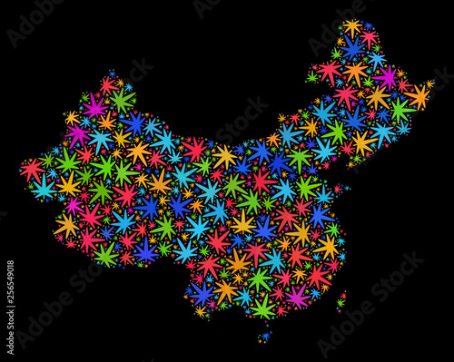 Bright vector marijuana China map collage on a black background. Template with colorful herbal leaves for marijuana legalize campaign. Vector China map is designed with herbal leaves.