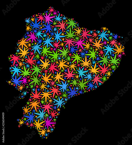 Bright vector marijuana Ecuador map mosaic on a black background. Template with bright herbal leaves for cannabis legalize campaign. Vector Ecuador map is formed from herbal leaves.