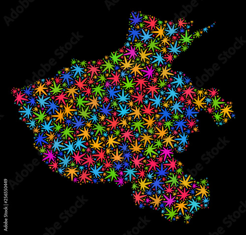 Bright vector cannabis Henan Province map mosaic on a black background. Template with colorful weed leaves for weed legalize campaign. Vector Henan Province map is composed with weed leaves.