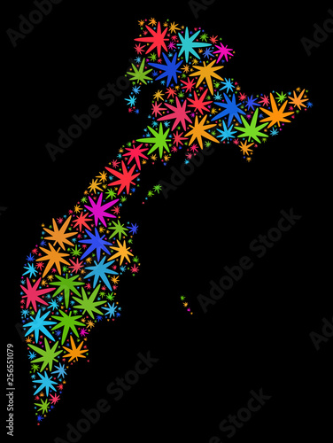 Bright vector marijuana Kamchatka map mosaic on a black background. Concept with bright weed leaves for weed legalize campaign. Vector Kamchatka map is constructed with cannabis leaves.