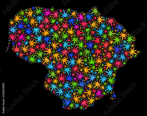 Bright vector marijuana Lithuania map collage on a black background. Concept with psychedelic weed leaves for weed legalize campaign. Vector Lithuania map is designed with weed leaves.