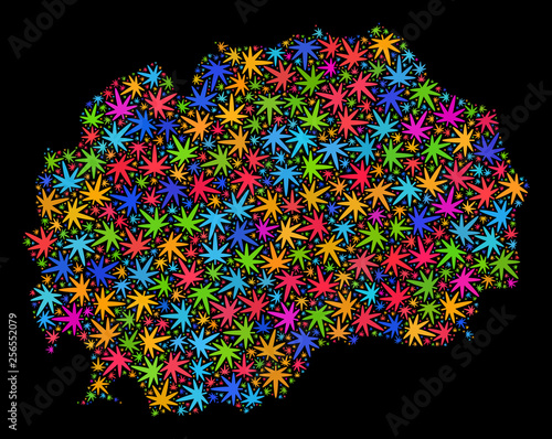 Bright vector cannabis Macedonia map mosaic on a black background. Template with bright weed leaves for weed legalize campaign. Vector Macedonia map is constructed of weed leaves.