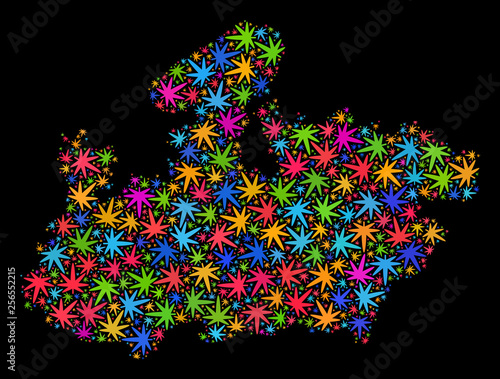 Bright vector marijuana Madhya Pradesh State map collage on a black background. Template with bright herbal leaves for marijuana legalize campaign.