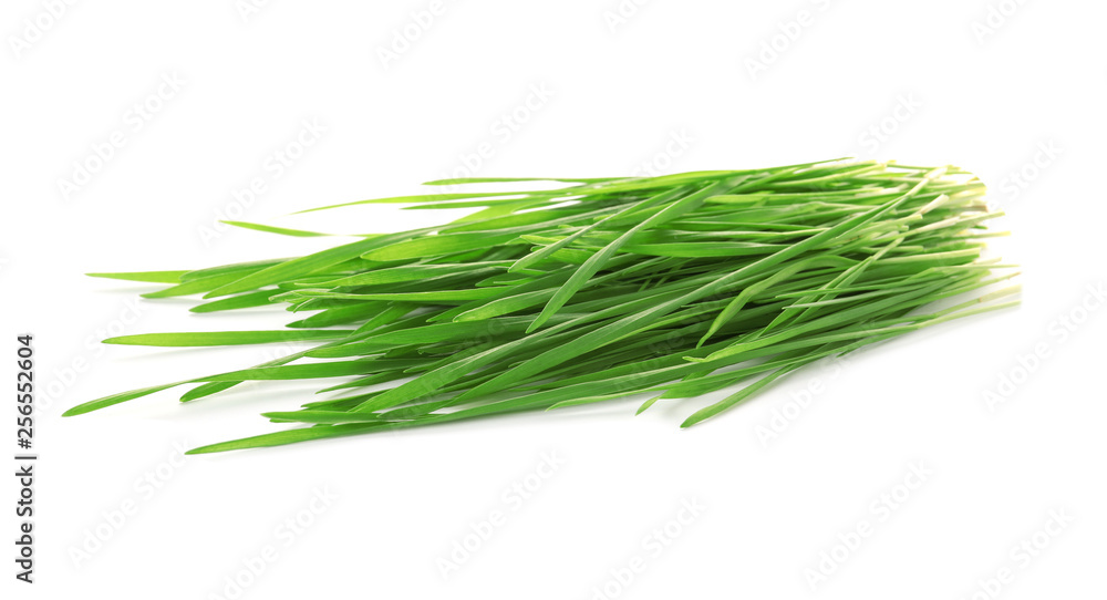 Green organic wheat grass on white background Green organic wheat grass on white background