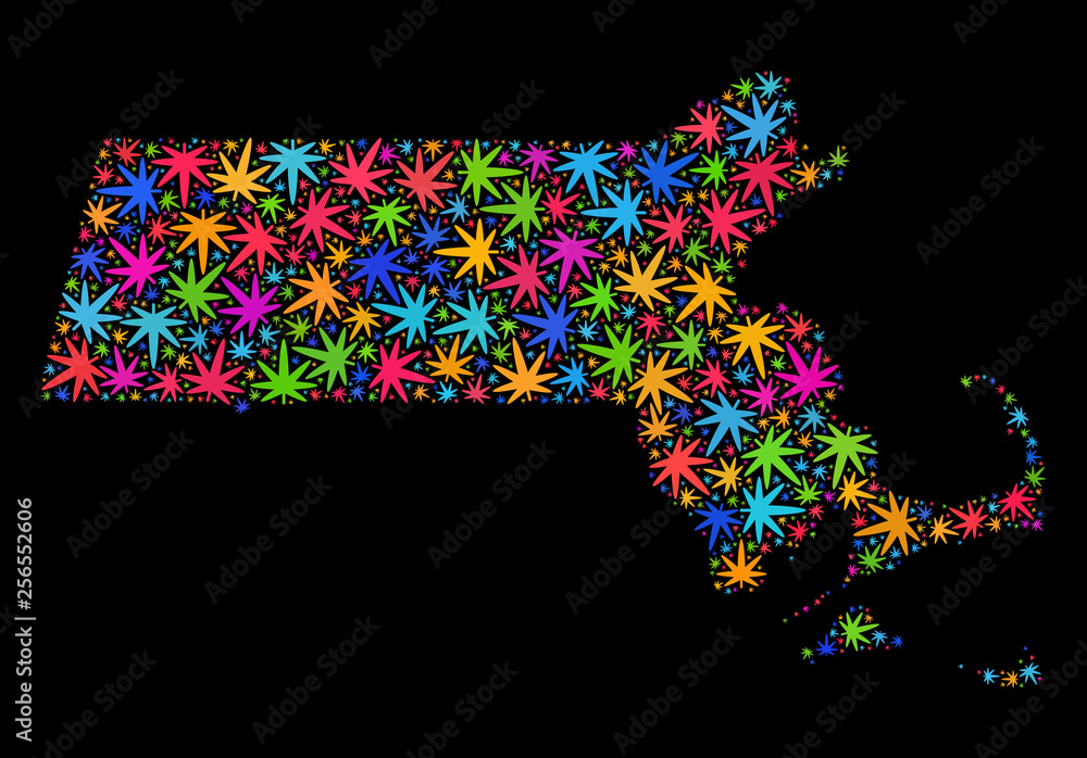 Bright vector marijuana Massachusetts State map mosaic on a black background. Concept with bright herbal leaves for marijuana legalize campaign. Bright vector marijuana Massachusetts State map mosaic on a black background. Concept with bright herbal leaves for marijuana legalize campaign.