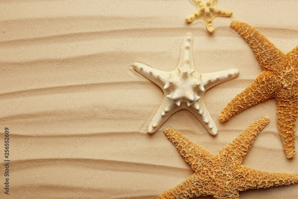 Starfishes on beach sand, top view. Space for text Starfishes on beach sand, top view. Space for text