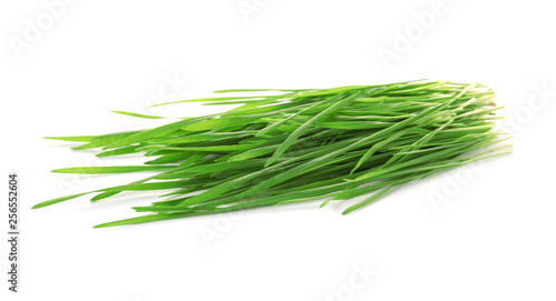 Green organic wheat grass on white background