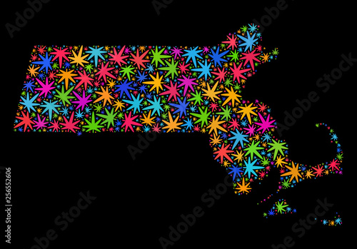 Bright vector marijuana Massachusetts State map mosaic on a black background. Concept with bright herbal leaves for marijuana legalize campaign.