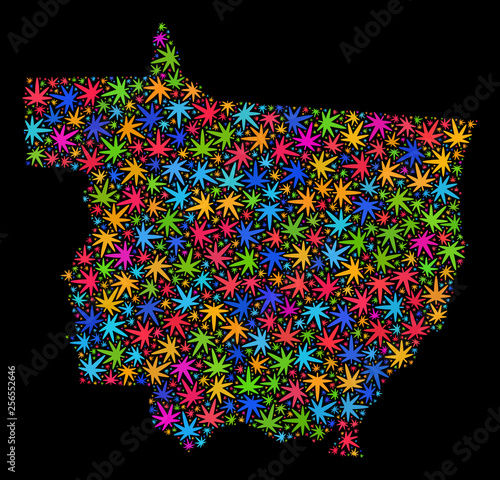 Bright vector marijuana Mato Grosso State map mosaic on a black background. Concept with colored weed leaves for weed legalize campaign. Vector Mato Grosso State map is designed with weed leaves.