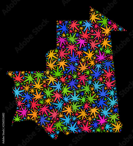Bright vector marijuana Mauritania map collage on a black background. Template with bright weed leaves for weed legalize campaign. Vector Mauritania map is formed with weed leaves.