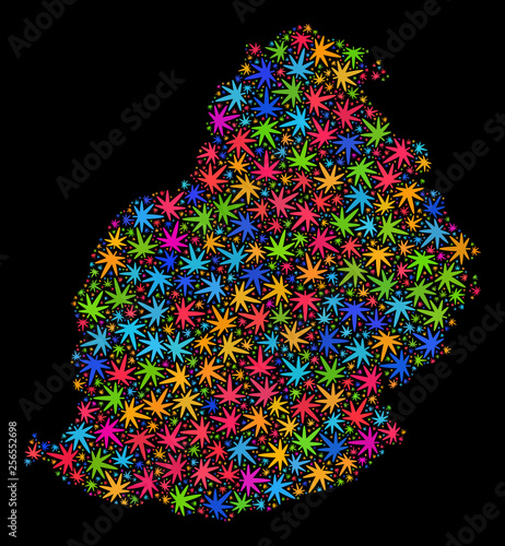 Bright vector cannabis Mauritius Island map mosaic on a black background. Concept with bright weed leaves for weed legalize campaign. Vector Mauritius Island map is formed of cannabis leaves.