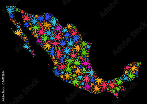 Bright vector marijuana Mexico map collage on a black background. Concept with bright weed leaves for marijuana legalize campaign. Vector Mexico map is designed from weed leaves.