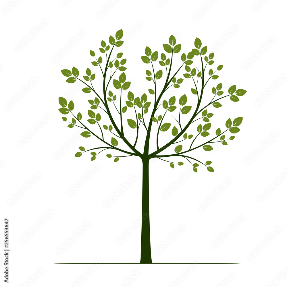 Green Tree with leaves on white background. Vector Illustration. Green Tree with leaves on white background. Vector Illustration.
