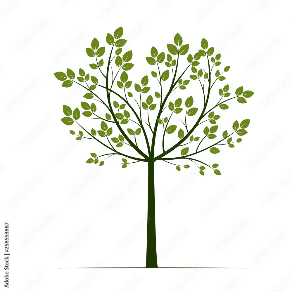 Green Tree with leaves on white background. Vector Illustration. Green Tree with leaves on white background. Vector Illustration.