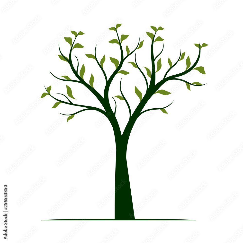 Fototapeta premium Green Tree with leaves on white background. Vector Illustration.