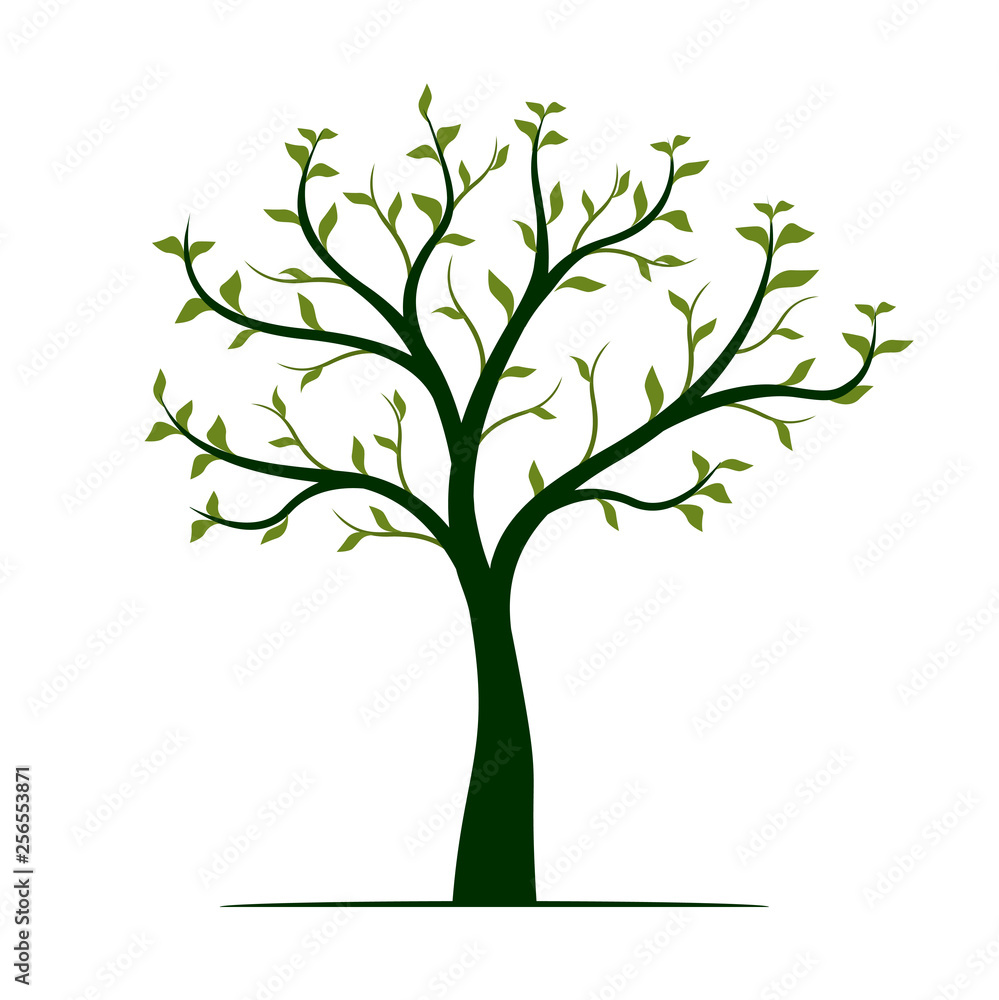 Green Tree with leaves on white background. Vector Illustration. Green Tree with leaves on white background. Vector Illustration.